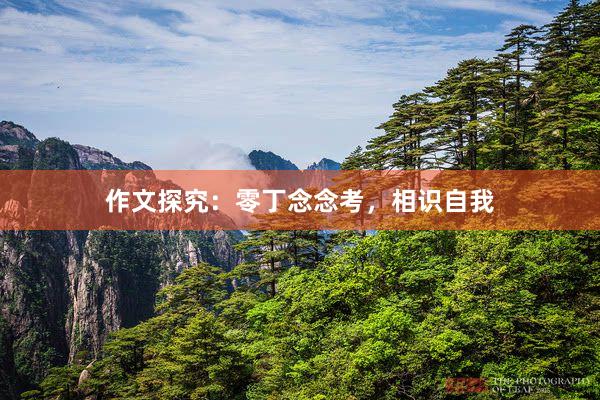 作文探究：零丁念念考，相识自我