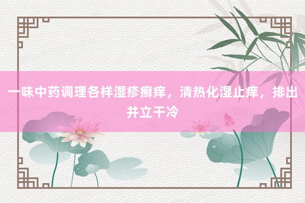一味中药调理各样湿疹癣痒，清热化湿止痒，排出并立干冷