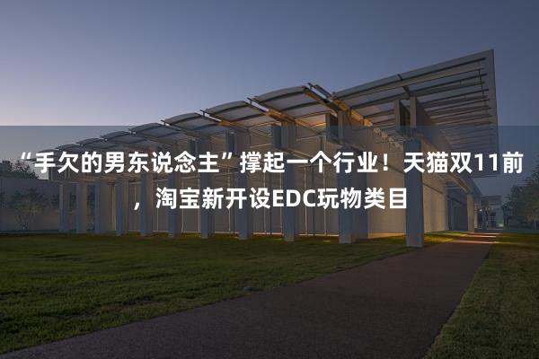 “手欠的男东说念主”撑起一个行业！天猫双11前，淘宝新开设EDC玩物类目