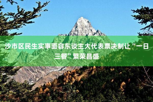 沙市区民生实事面容东谈主大代表票决制让“一日三餐”繁荣昌盛