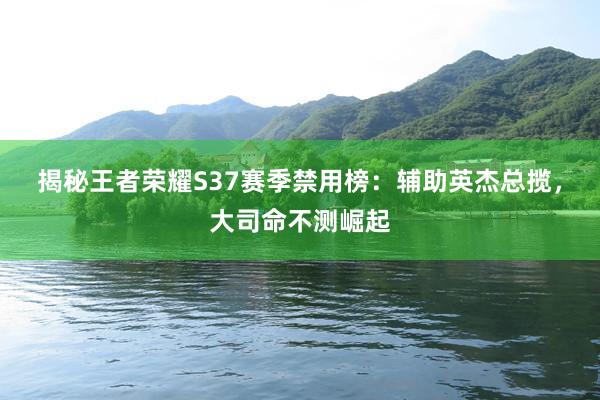 揭秘王者荣耀S37赛季禁用榜：辅助英杰总揽，大司命不测崛起