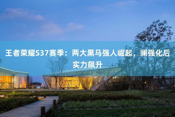 王者荣耀S37赛季：两大黑马强人崛起，澜强化后实力飙升