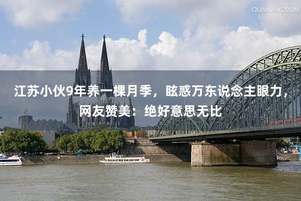 江苏小伙9年养一棵月季，眩惑万东说念主眼力，网友赞美：绝好意思无比