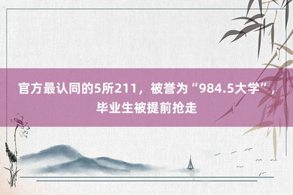 官方最认同的5所211，被誉为“984.5大学”，毕业生被提前抢走