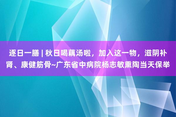 逐日一膳 | 秋日喝藕汤啦，加入这一物，滋阴补肾、康健筋骨~广东省中病院杨志敏熏陶当天保举