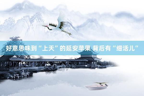 好意思味到“上天”的延安苹果 背后有“细活儿”