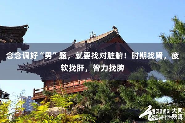 念念调好“男”题，就要找对脏腑！时期找肾，疲软找肝，膂力找脾