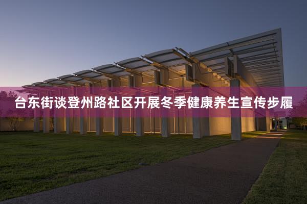 台东街谈登州路社区开展冬季健康养生宣传步履