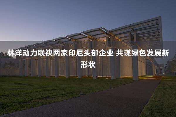 林洋动力联袂两家印尼头部企业 共谋绿色发展新形状