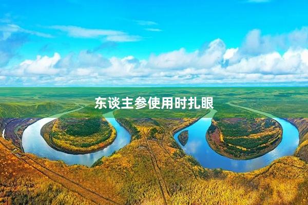 东谈主参使用时扎眼