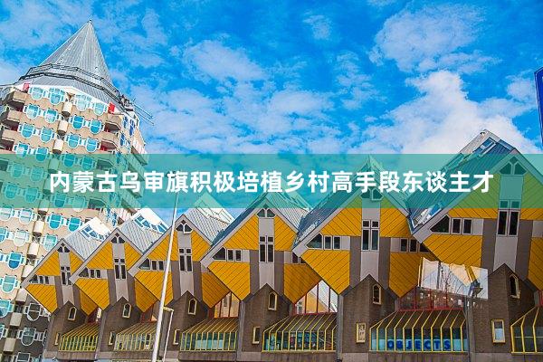 内蒙古乌审旗积极培植乡村高手段东谈主才
