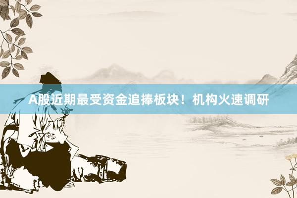A股近期最受资金追捧板块！机构火速调研