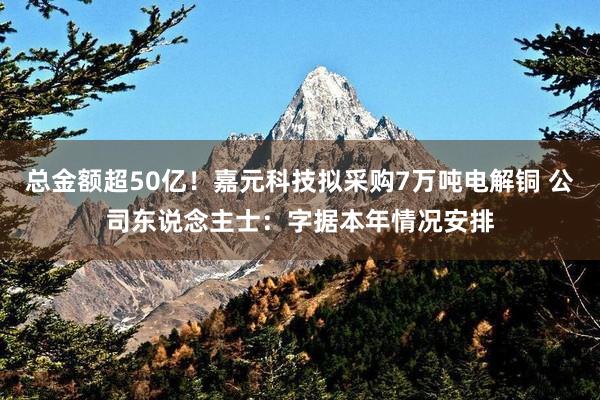 总金额超50亿！嘉元科技拟采购7万吨电解铜 公司东说念主士：字据本年情况安排