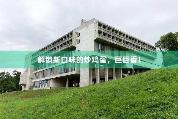 解锁新口味的炒鸡蛋，巨巨香！